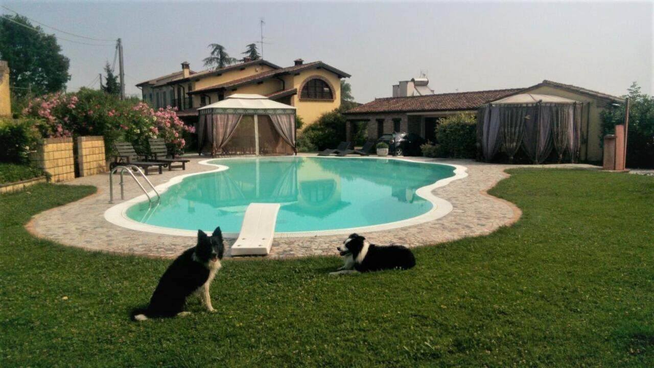 B&B Il Martin Pescatore Bagnolo San Vito Bagian luar foto