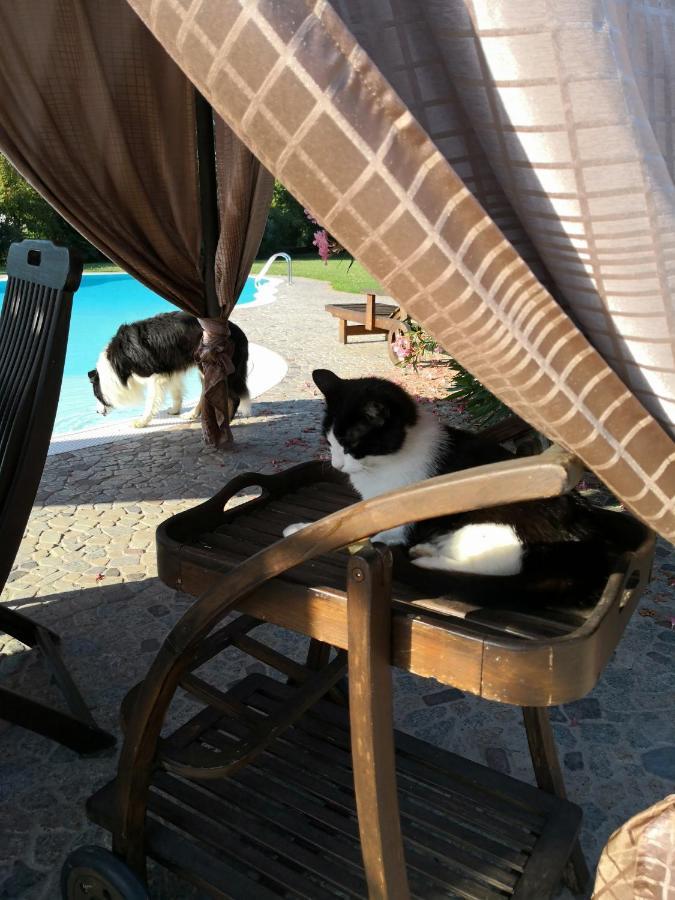 B&B Il Martin Pescatore Bagnolo San Vito Bagian luar foto